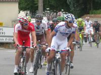 Image de la course du 15/08/2012